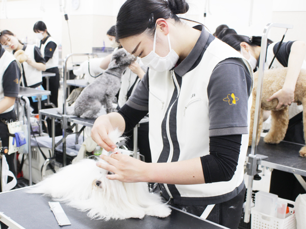 ２年生はお客様の愛犬とスキルアップ♪